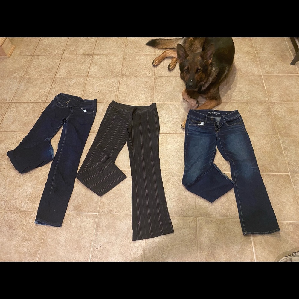 Size 8 pants THREE sets (minus the German Shepherd